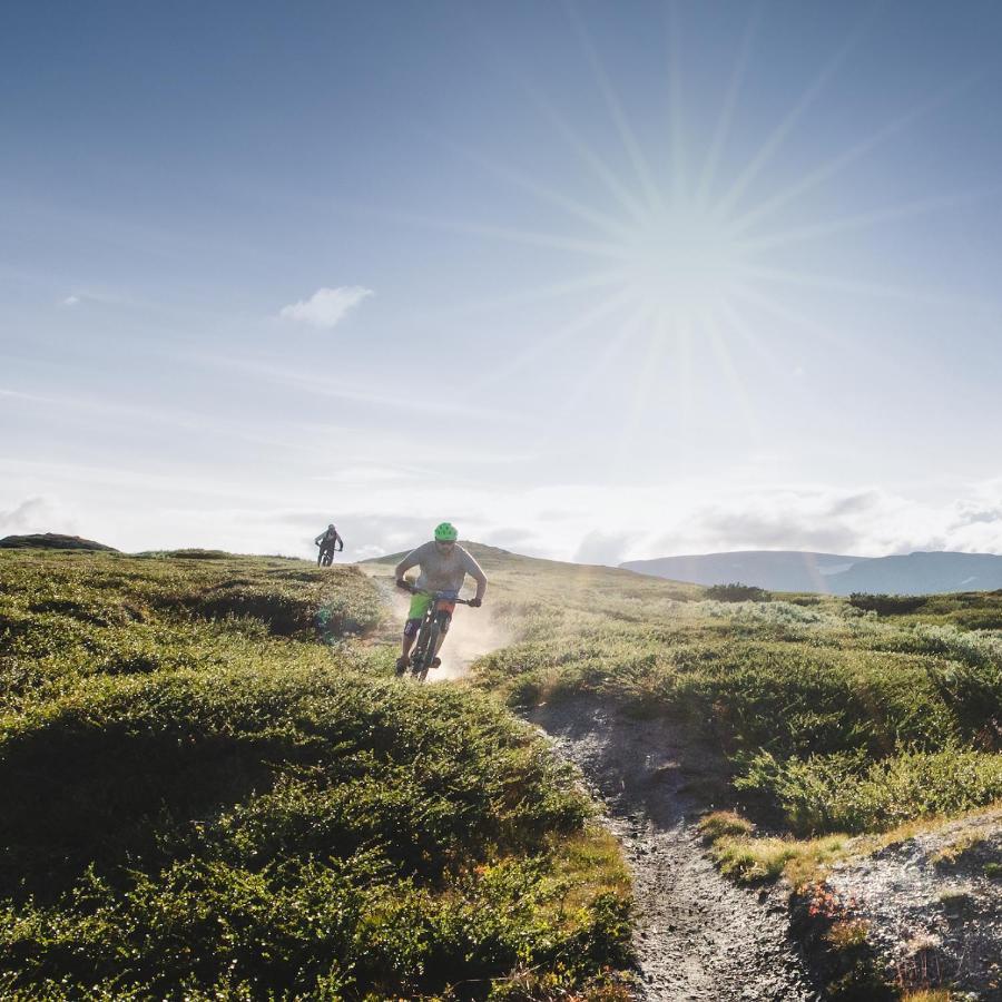 Highland Lodge Fjellandsby Geilo Eksteriør bilde