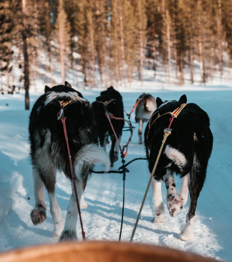 Highland Lodge Fjellandsby Geilo Eksteriør bilde