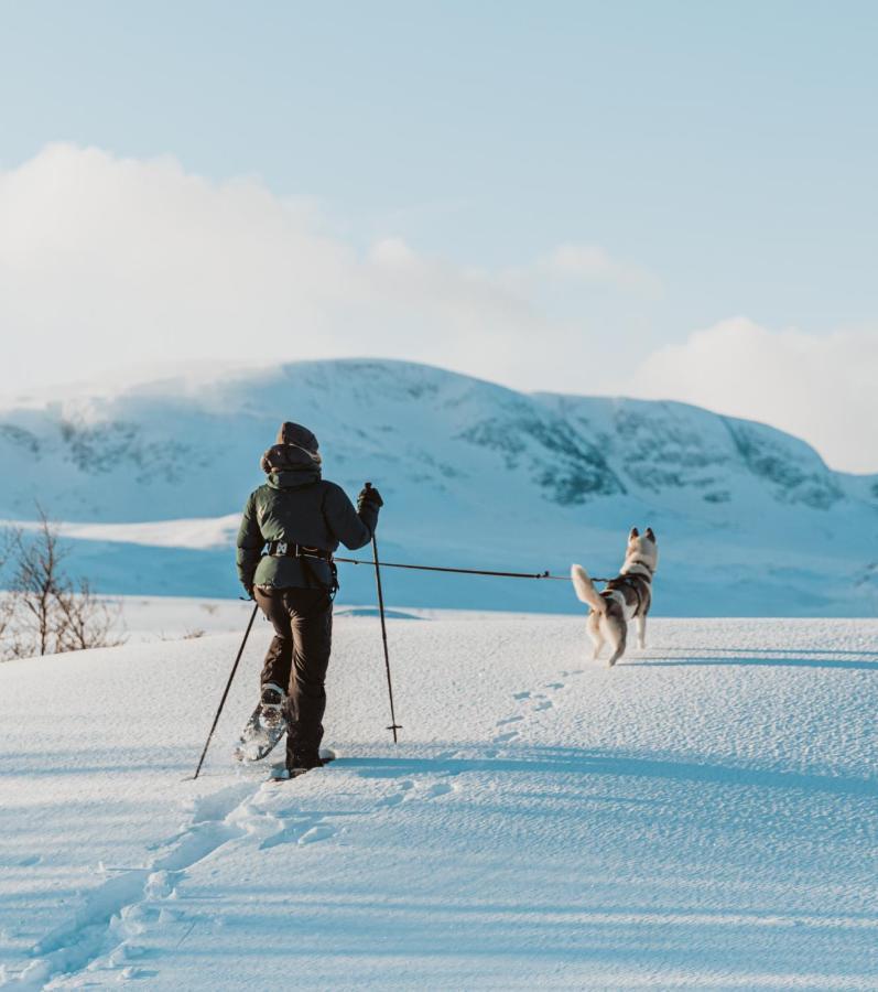 Highland Lodge Fjellandsby Geilo Eksteriør bilde
